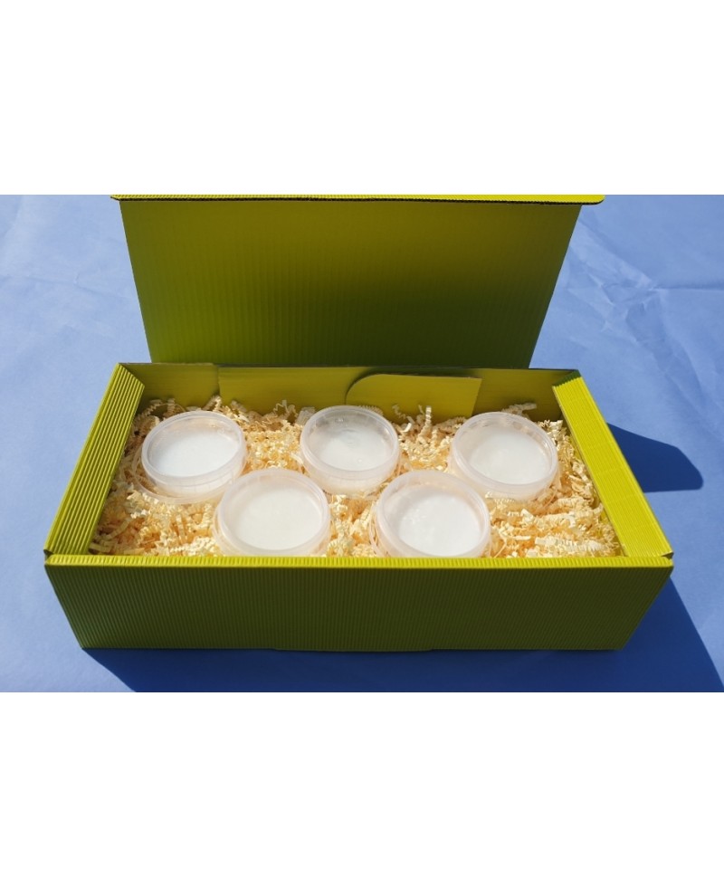 Surprise Detergent Set of Five 5x2dl